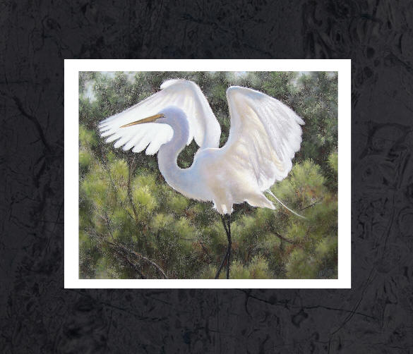 egret