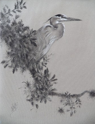 Great Blue Heron in Charcoal