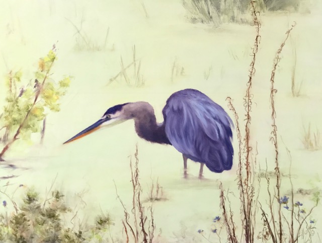 Great Blue in Marsh