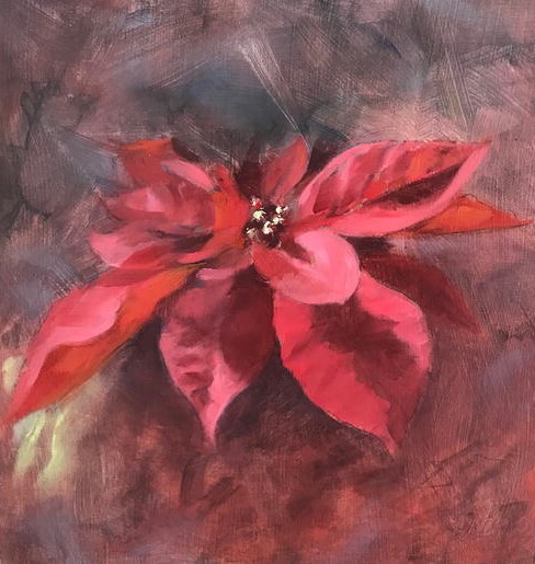 Poinsettia