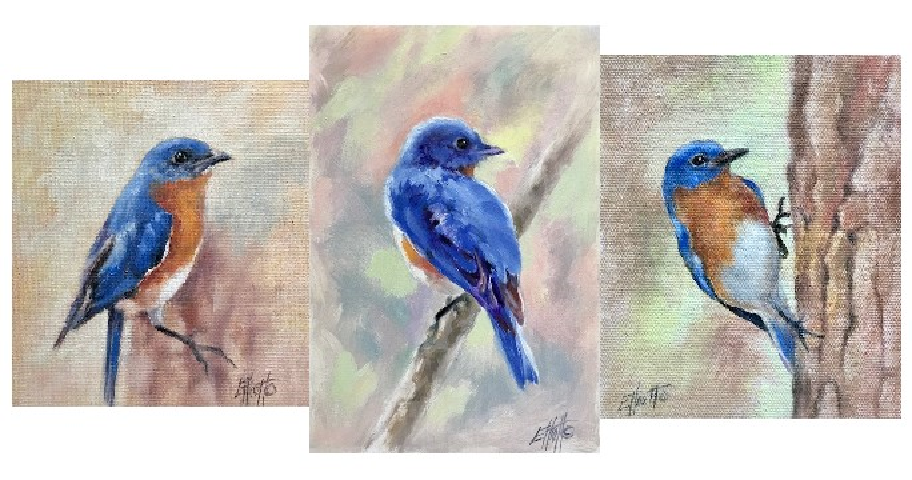 Bluebird 1