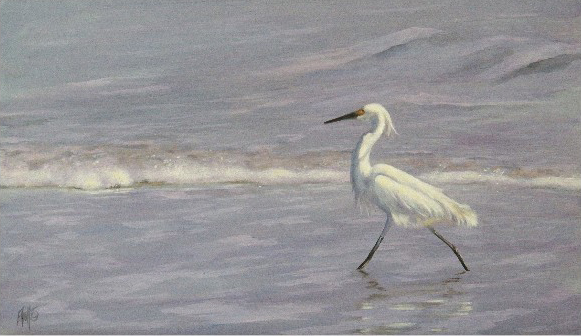 Snowy Egret