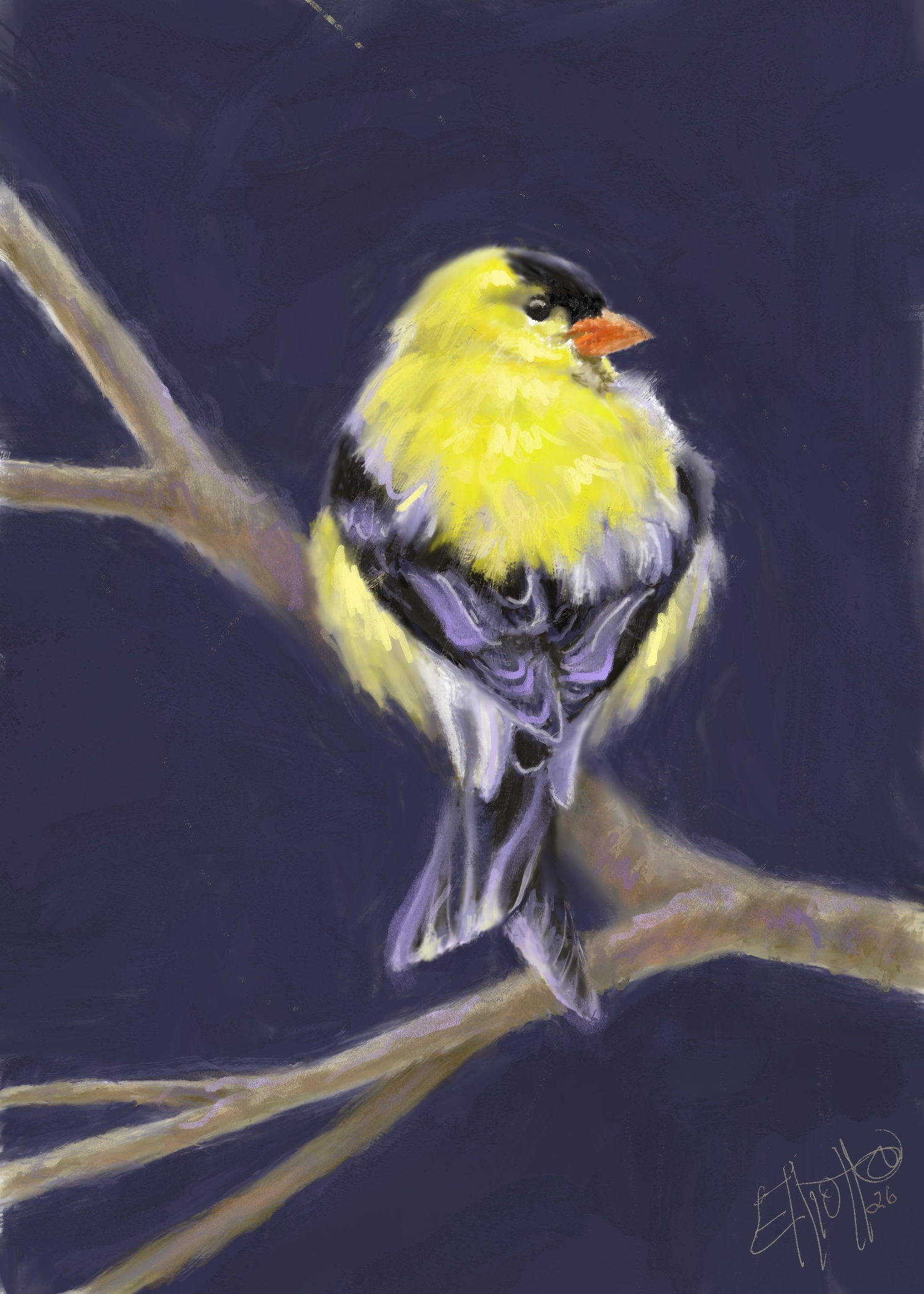 The Goldfinch